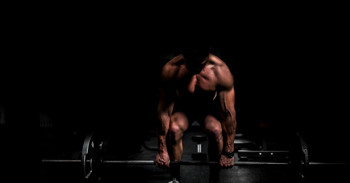 Fern Fit Studio