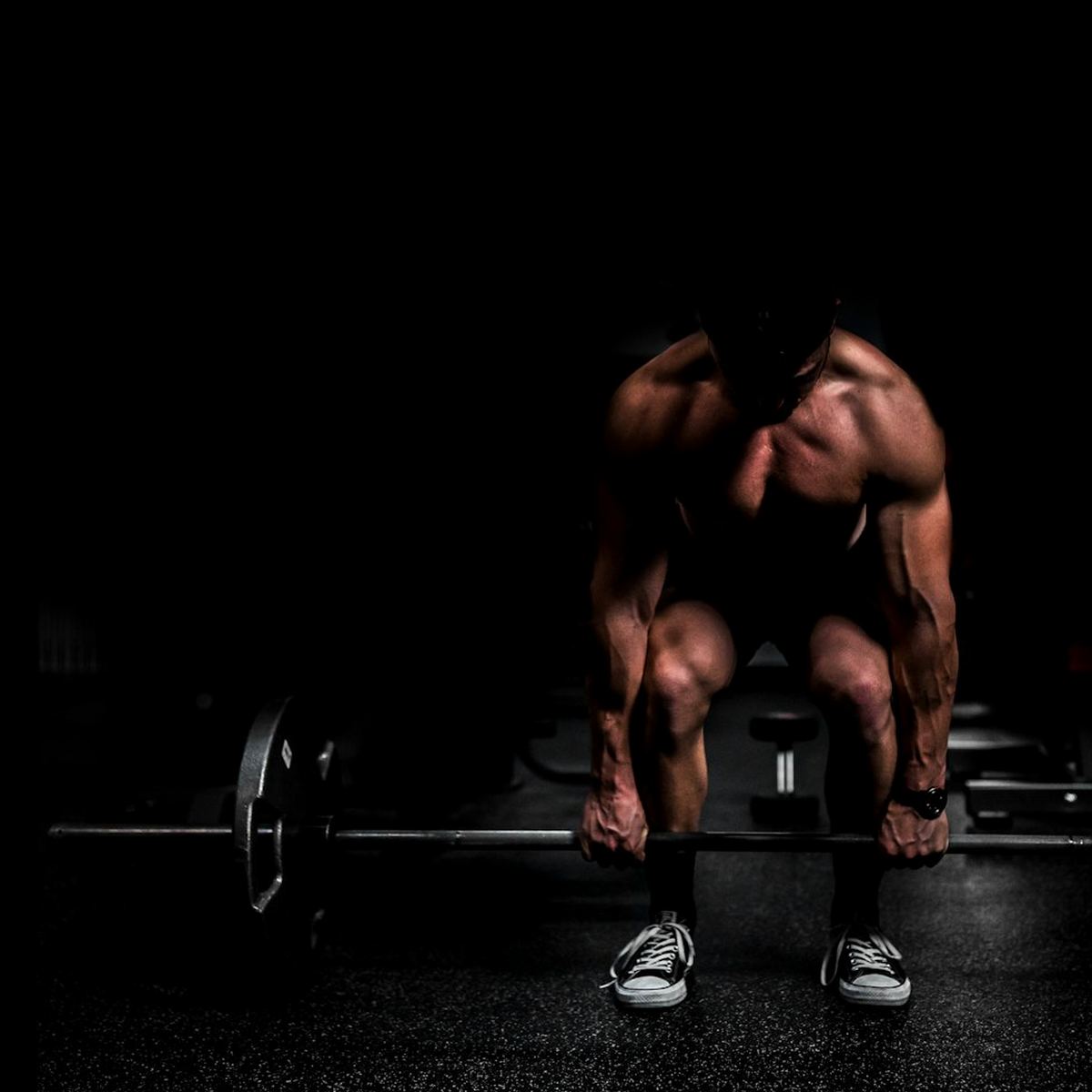 Fern Fit Studio