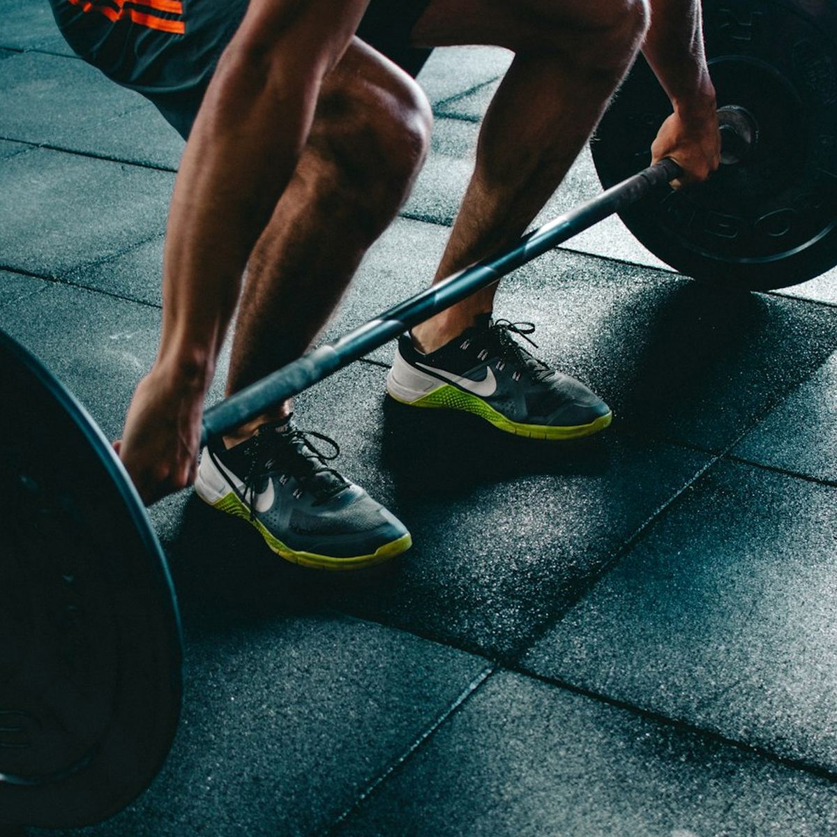 Fern Fit Studio
